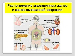 ������������ � ���������������